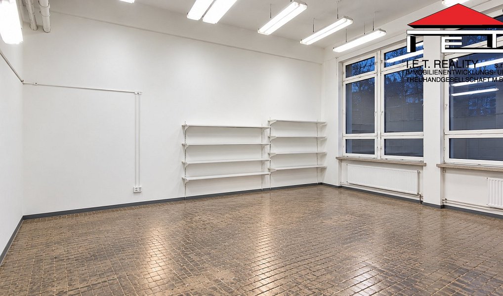 Pronájem skladovacích prostor 210 m², Ostrava – náhled fotky 5