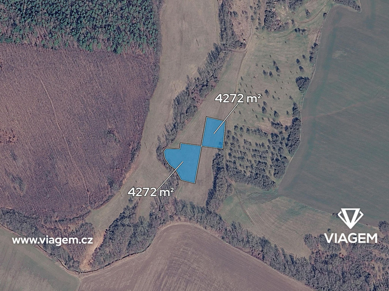 Prodej pole 2 670 m² – fotografie 2