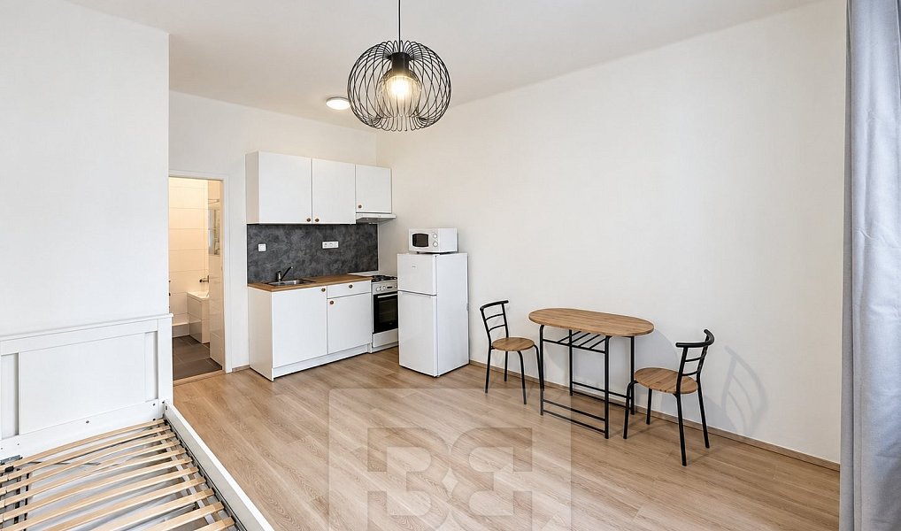 Pronájem bytu 1+kk 27 m², Praha – náhled fotky 6