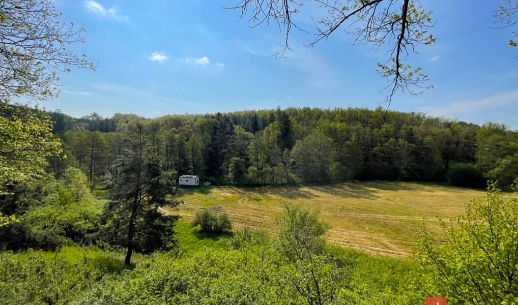 Prodej louky 1 277 m², Rybníky – náhled fotky 7