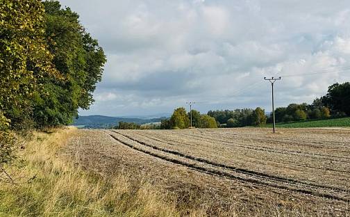Prodej lesa 1 363 m², Postupice - Pozov, okres Benešov