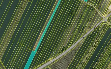 Prodej pole 12 372 m², Velké Pavlovice, okres Břeclav