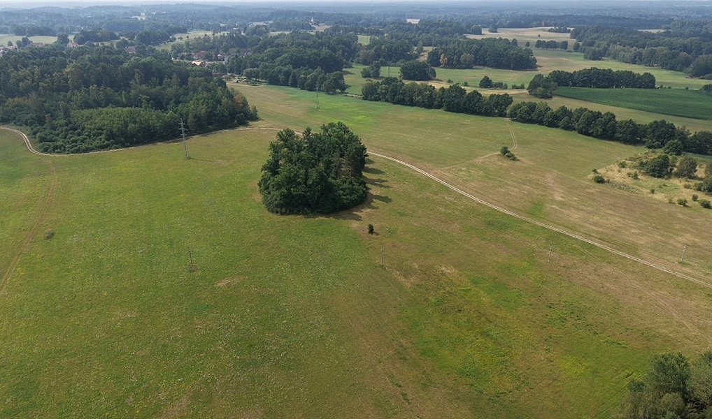 Prodej lesa 360 000 m², Chlum u Třeboně – náhled fotky 12