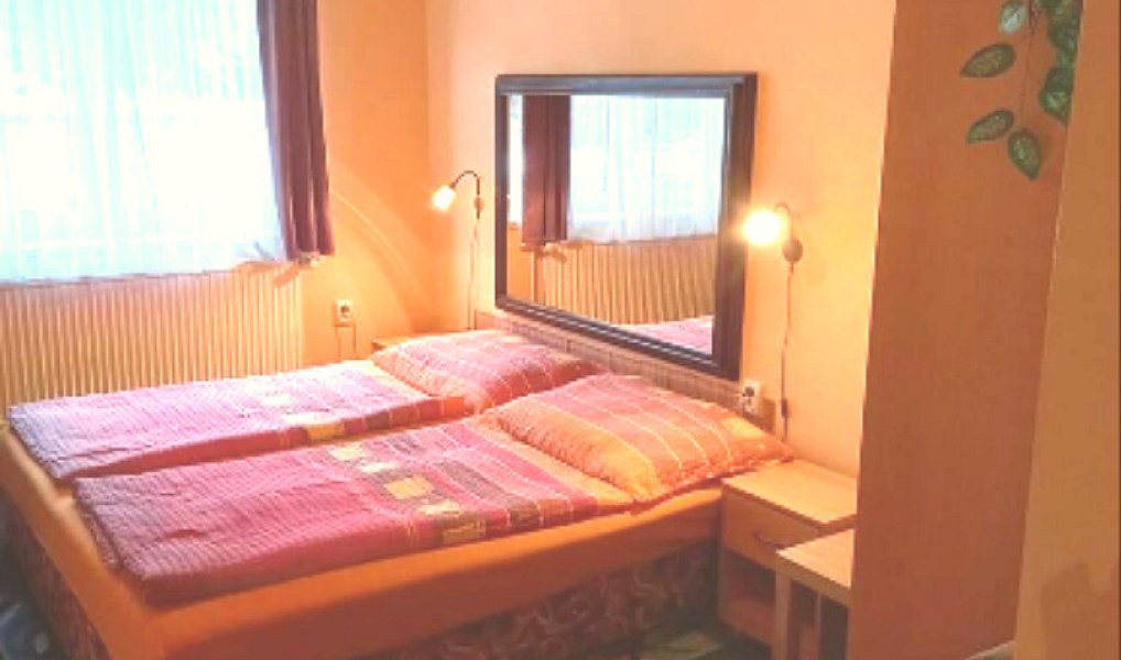 Prodej ubytovacího objektu 460 m², Ostrov – náhled fotky 9