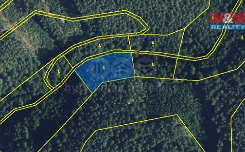 Prodej lesa 5 021 m², Proseč, okres Chrudim