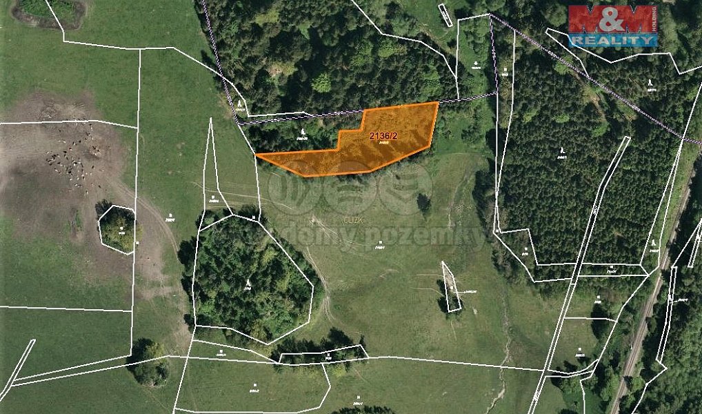 Prodej louky 3 918 m², Horní Dvořiště – náhled fotky 4
