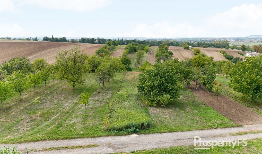 Prodej zahrady 832 m², Prace – náhled fotky 6