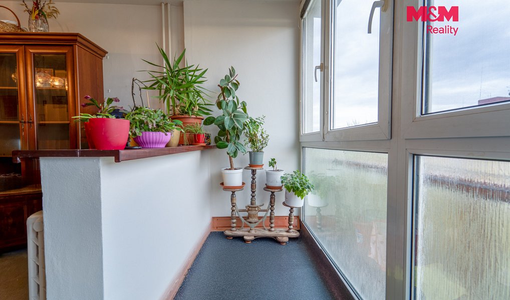 Prodej bytu 2+1 62 m², Plzeň – náhled fotky 4