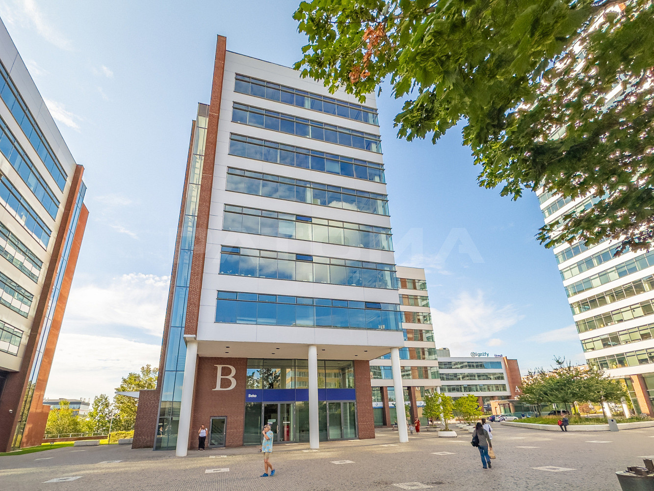 Pronájem kanceláře 649 m²