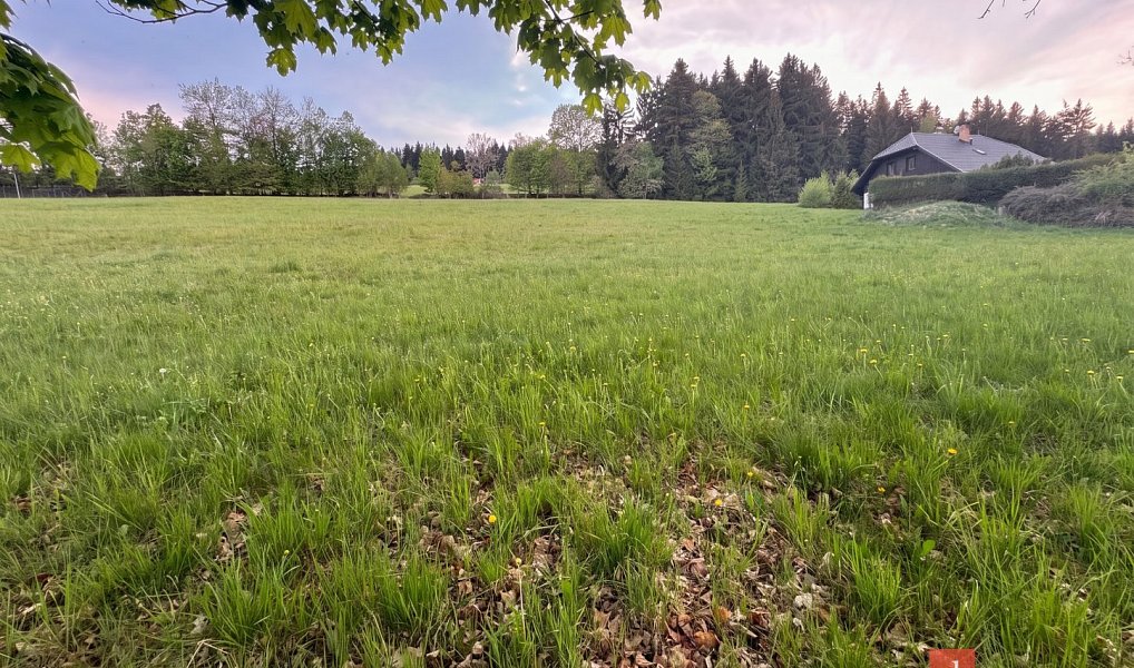 Prodej stavebního pozemku 2 133 m², Stachy – náhled fotky 4