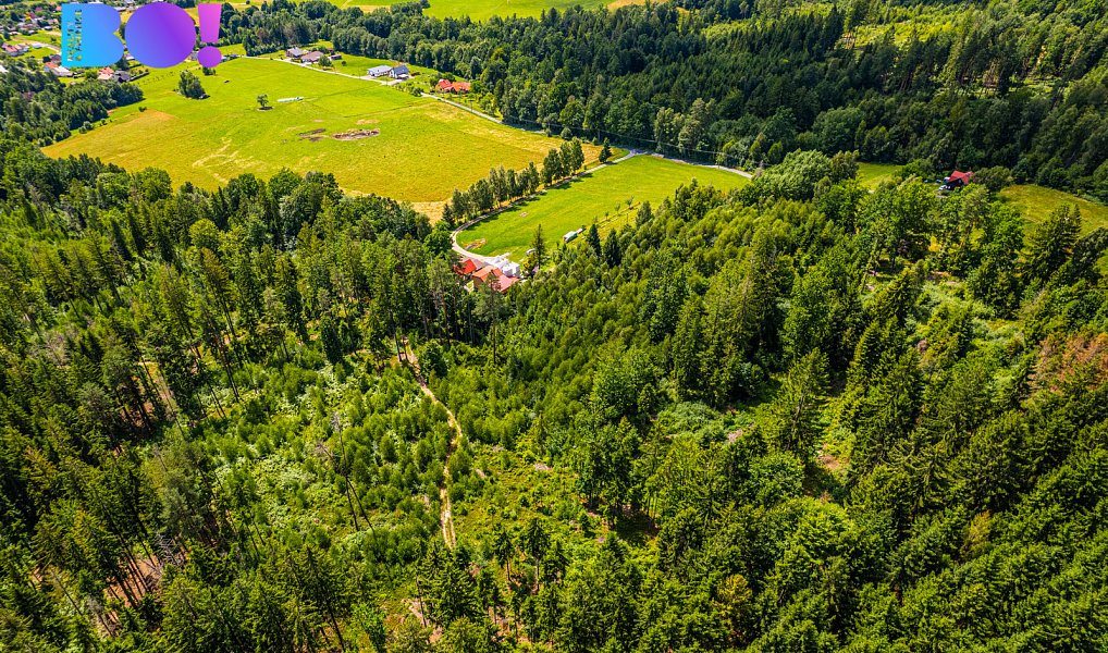Prodej lesa 12 430 m², Písek – náhled fotky 4