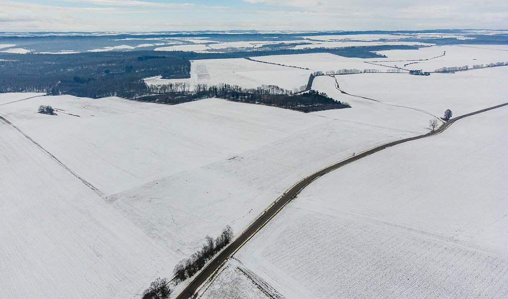 Prodej pole 54 498 m², Běhařovice – náhled fotky 8