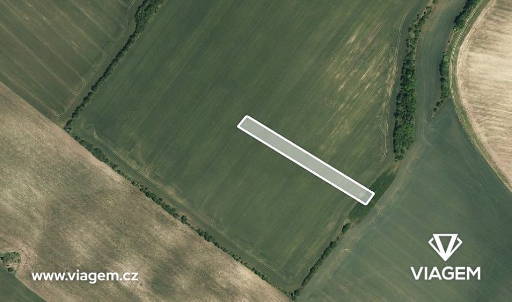 Prodej pole 511 m², Mutěnice – náhled fotky 2