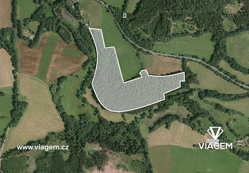 Prodej lesa 7 020 m² – pohled 2