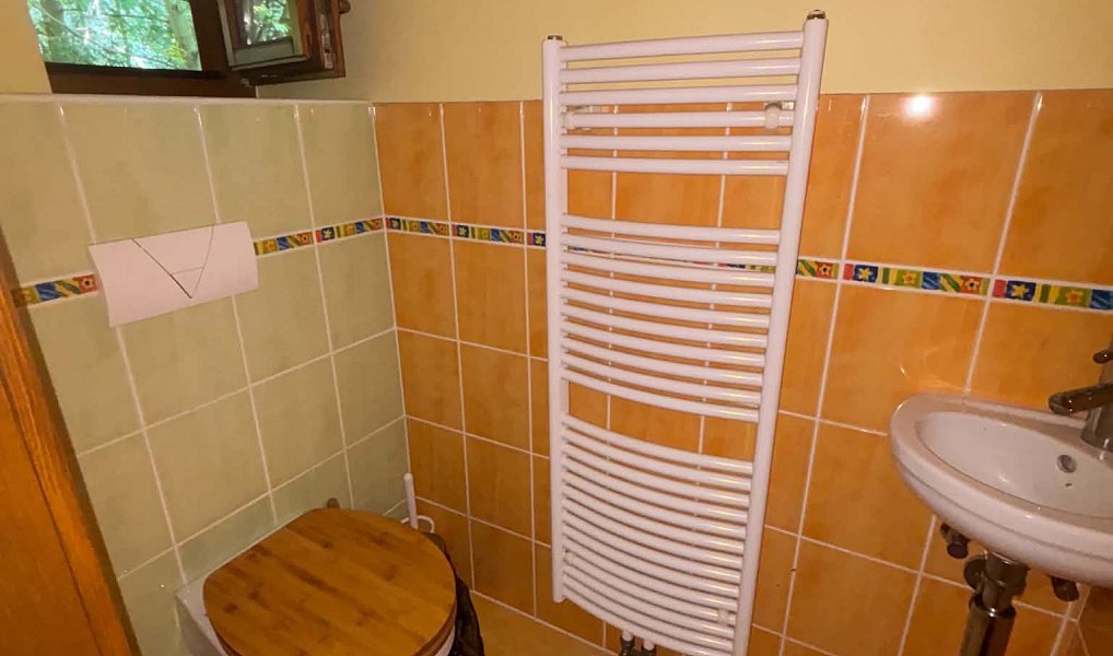Pronájem domu 170 m² s pozemkem 1 240 m², Frýdlant nad Ostravicí – náhled fotky 19