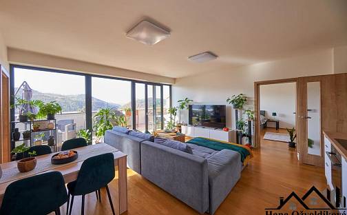 Prodej bytu 3+kk 98 m², U Lomu, Boskovice, okres Blansko