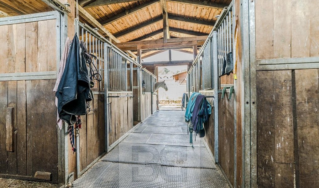 Prodej domu 400 m² s pozemkem 242 000 m², Malečov – náhled fotky 5