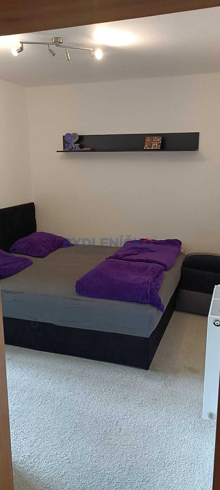 Pronájem bytu 3+1 55 m² — photo 3
