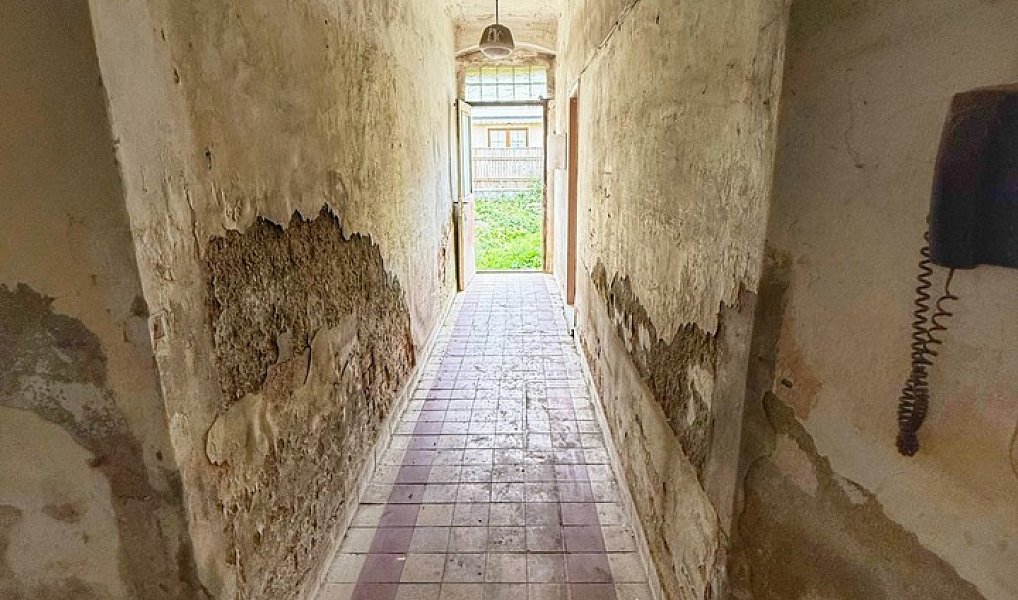 Prodej domu 210 m² s pozemkem 1 306 m², Velká Hleďsebe – náhled fotky 14