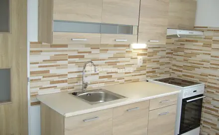 Pronájem bytu 1+1 30 m², Plavební, Děčín - Děčín I-Děčín