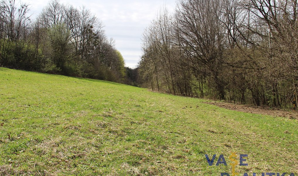 Prodej stavebního pozemku 1 800 m², Nový Jičín – náhled fotky 4