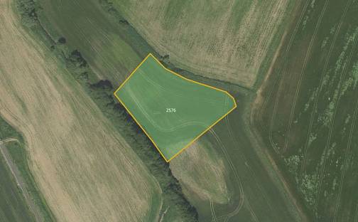 Prodej louky 8 040 m², Městečko Trnávka - Lázy, okres Svitavy