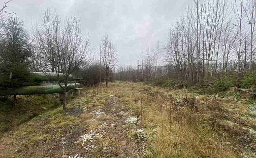 Prodej pozemku 311 m², Zliv, okres České Budějovice