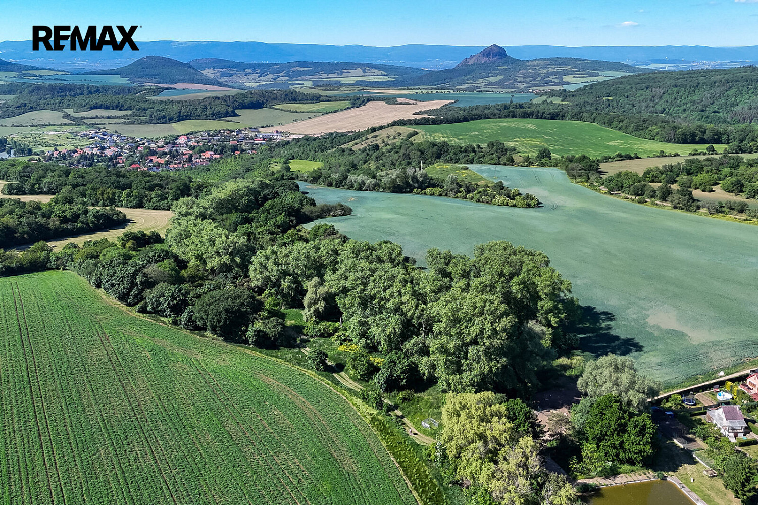 Prodej lesa 5 841 m² – fotografie 5