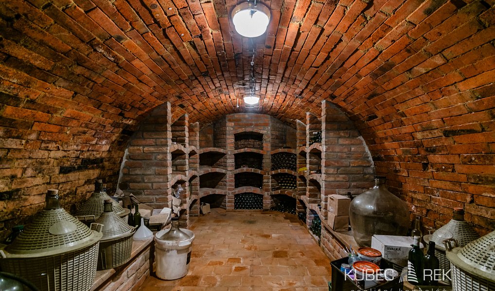 Prodej Vinného sklepu, Nechory, Prušánky – náhled fotky 16