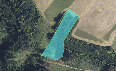 Prodej lesa 9 474 m², Zábřeh - Václavov, okres Šumperk