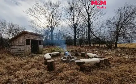 Prodej louky 6 470 m², Budišov nad Budišovkou, okres Opava