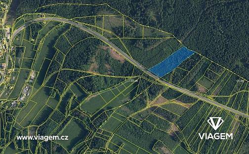 Prodej lesa 5 983 m², Loužnice, okres Jablonec nad Nisou