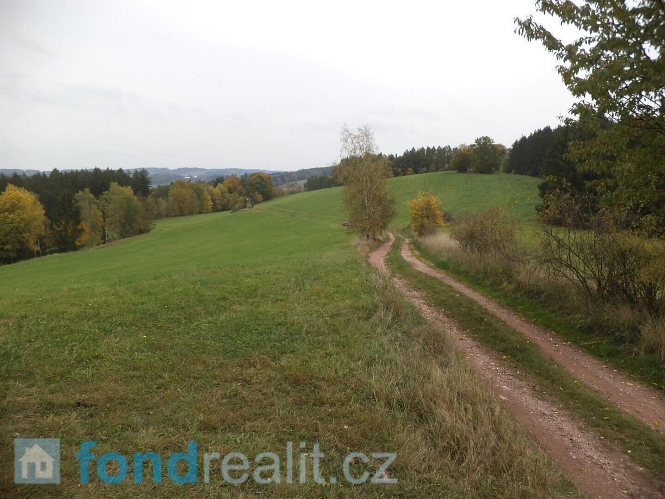 Prodej pozemku 2 376 m² – fotografie 3