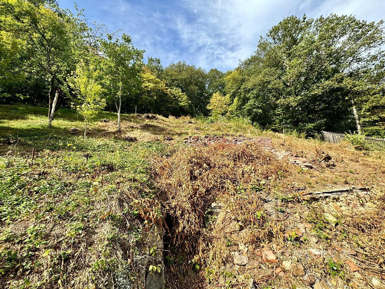 Prodej stavebního pozemku 738 m² – fotografie 3