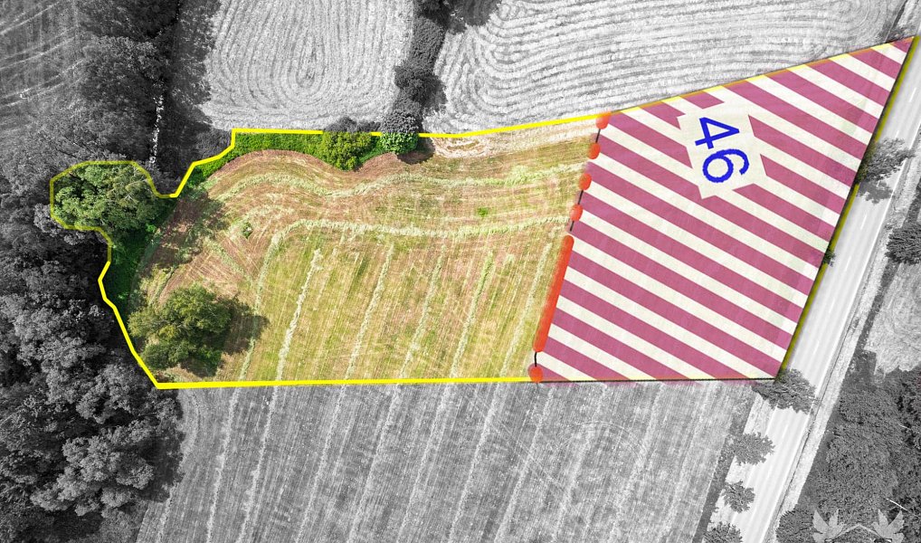 Prodej komerčního pozemku 9 518 m², Stachy – náhled fotky 3