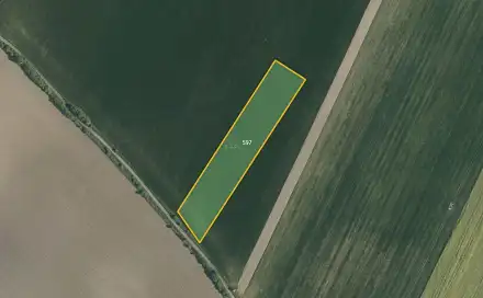 Prodej pole 9 812 m², Bezděkov, okres Pardubice