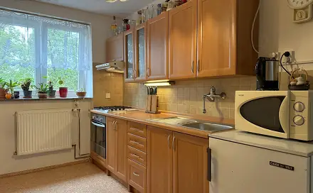 Prodej bytu 2+1 50 m², Jugoslávská, Plzeň - Východní Předměstí