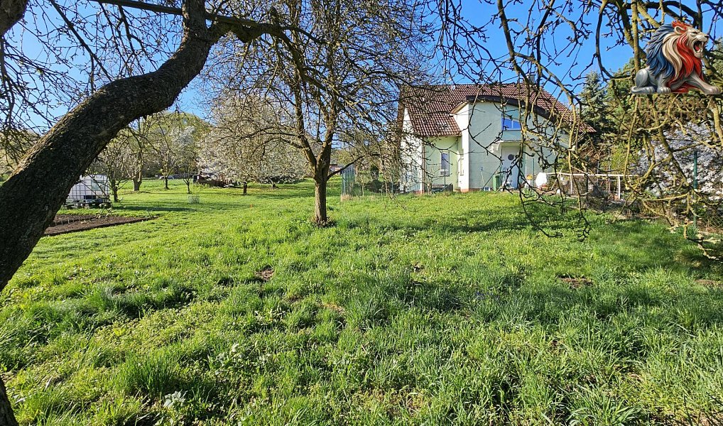 Prodej chaty/chalupy 82 m² s pozemkem 1 722 m², Boskovice – náhled fotky 3