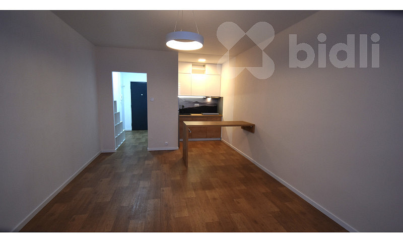 Pronájem bytu 2+kk 44 m² — photo 4
