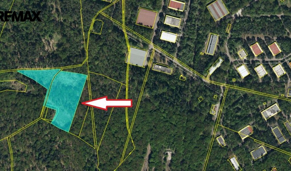 Prodej lesa 15 753 m², Lázně Bohdaneč – náhled fotky 3