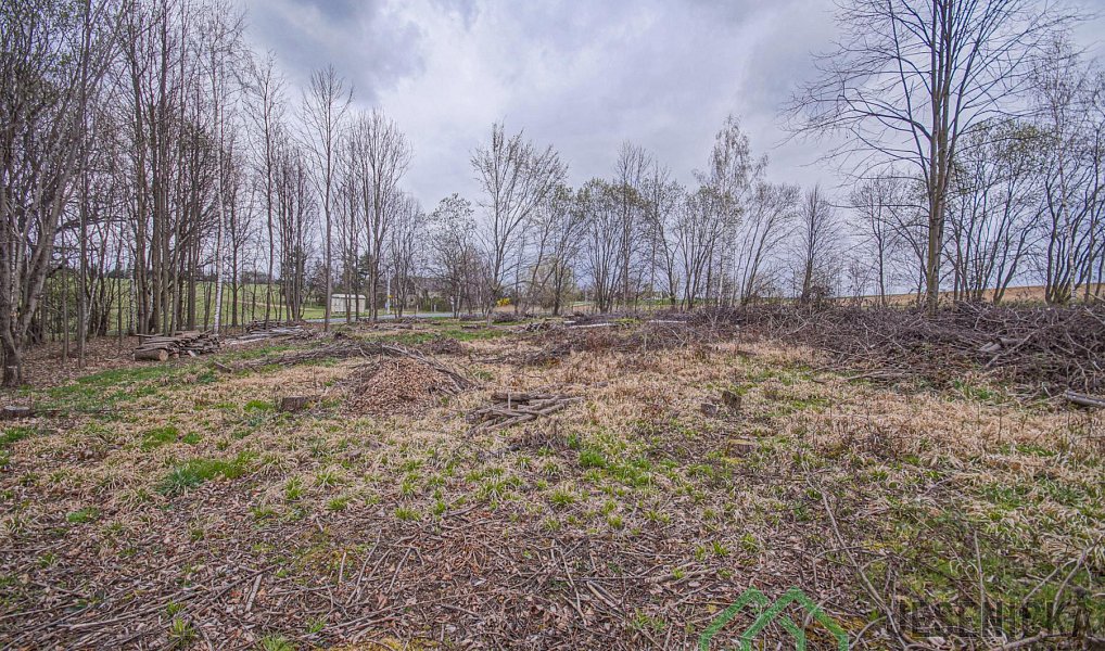 Prodej pole 6 787 m², Mikulovice – náhled fotky 4