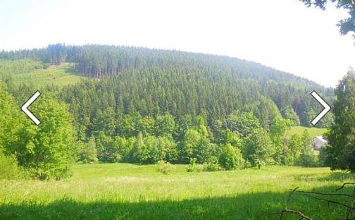 Prodej pole 2 234 m², Pod Obecníkem, Zubří, okres Vsetín