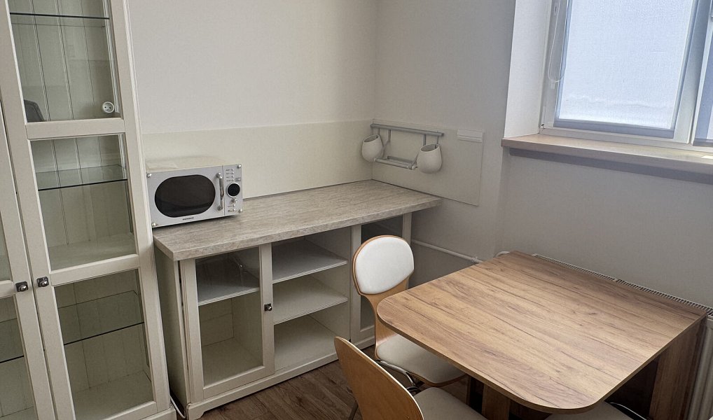 Pronájem bytu 2+1 55 m², Karlovy Vary – náhled fotky 6
