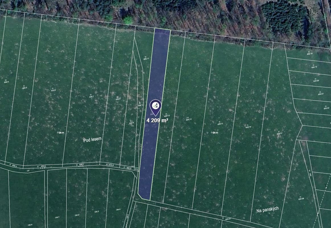 Prodej louky 4 209 m²