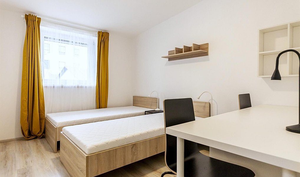 Pronájem bytu 2+1 31 m², Brno – náhled fotky 6