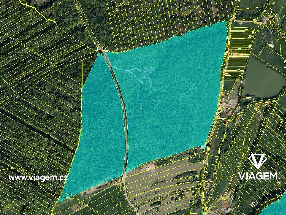 Prodej lesa 2 432 m² – fotografie 3