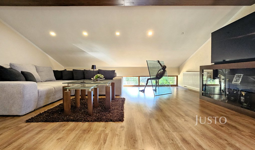 Prodej domu 322 m² s pozemkem 777 m², Písek – náhled fotky 18
