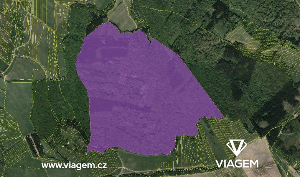 Prodej lesa 46 570 m², Korytná – náhled fotky 4