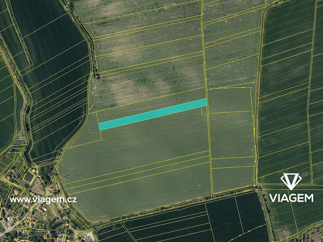 Prodej pole 725 m² – fotografie 3