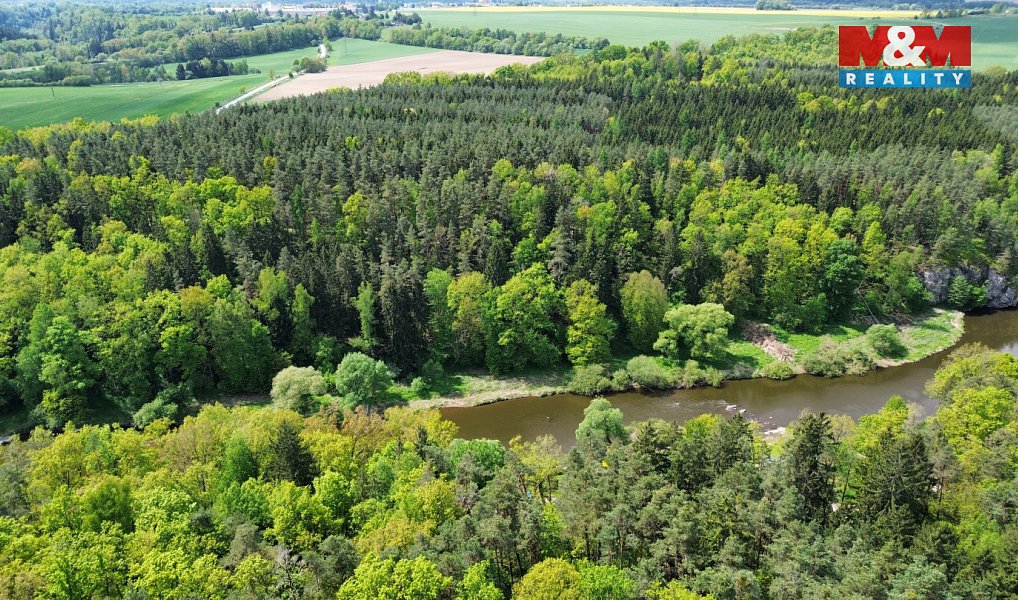 Prodej lesa 79 857 m², Černýšovice – náhled fotky 2